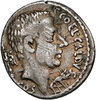 Coelia, denier, Rome, 51 av. J.-C.
