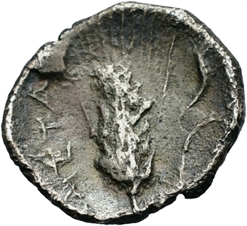 Lucanie, Métaponte, diobole, 325-275 av. J.-C.