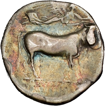 Campanie, didrachme, Naples, c. 300-275 av. J.-C.