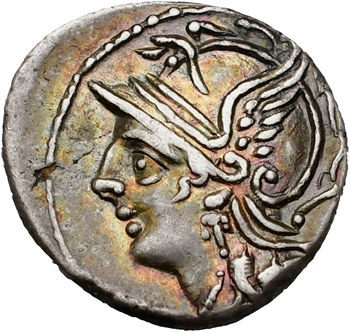 Coelia, denier, Rome, 104 av. J.-C.