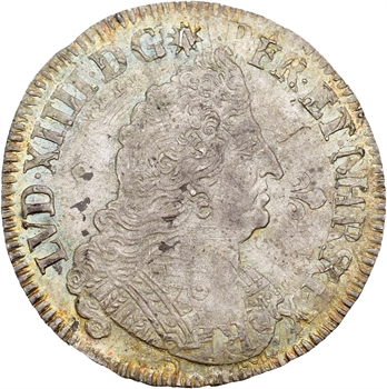 Louis XIV, demi-écu aux palmes, 1693 Reims