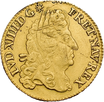 Louis XIV, louis d&rsquo;or à l&rsquo;écu, 1691 Paris