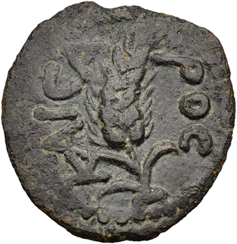 Judée, Procureur Marcus Ambibulus, petit bronze, an 39 ( 9 ap. J-C)