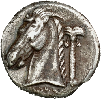 Monnayage Siculo-punique, tétradrachme, Carthage, c.310 av. J.-C.