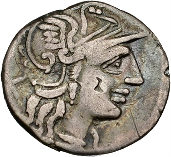 Trebania, denier Rome 135 av. J.-C.