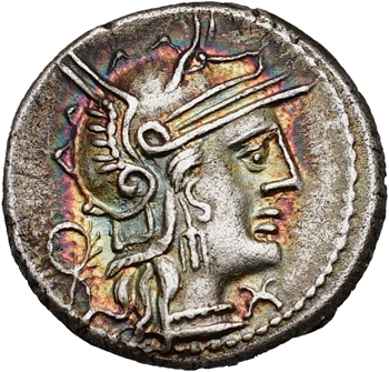 Opimia, denier, Rome, 131 av. J.-C.