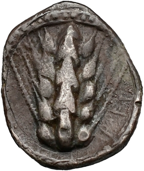 Lucanie, Métaponte, triobole, c.460 av. J.-C.