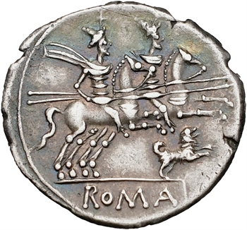 Antestia, denier, Rome, 146 av. J.-C