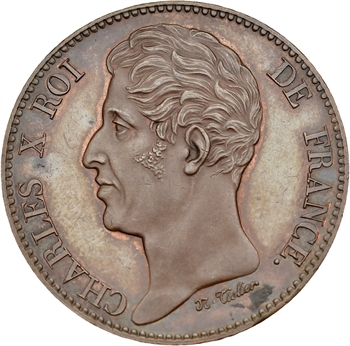 Charles X, module de 5 francs, visite du Prince de Salerne, 1825 Paris
