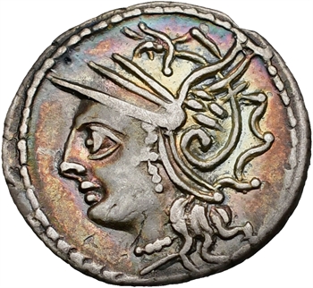 Appuleia, denier, Rome, 104 av. J.-C.