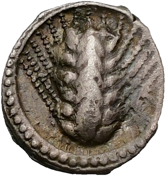 Lucanie, Métaponte, obole, c.540-510 av. J.-C.