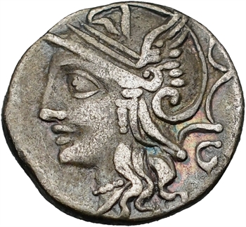Appuleia, denier, Rome, 104 av. J.-C