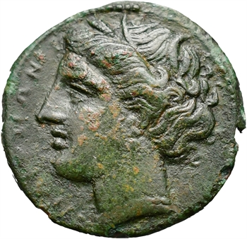Sicile, Agathoklès, bronze, Syracuse, c.317-289 av. J.-C.