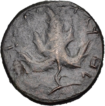 Judée, sous Hadrien, révolte de Shimon Bar Kokhba, moyen bronze, An 3 (134)