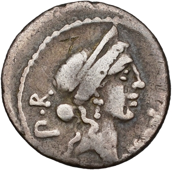 Sicinia, denier, Rome, 49 av. J.-C.