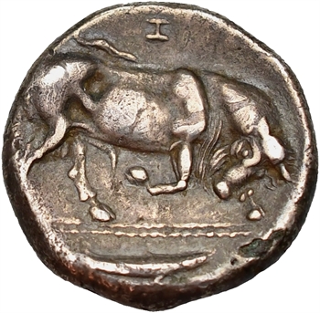 Lucanie, Thurium, statère, c.350-300 av. J.-C.