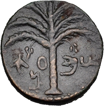 Judée, sous Hadrien, révolte de Shimon Bar Kokhba, moyen bronze, An 3 (134)